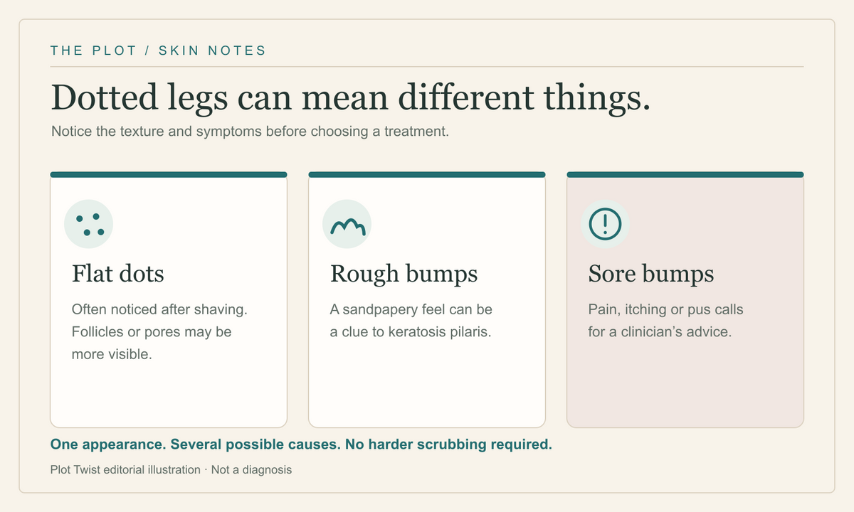 Illustrated guide to strawberry legs: flat dark dots, rough bumps, and sore bumps can point to different causes